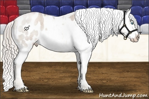 Horse Color:Chocolate Palomino Roan Pearl Blanket Rabicano