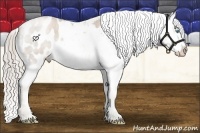 Horse Color:Chocolate Palomino Roan Pearl Blanket Rabicano 