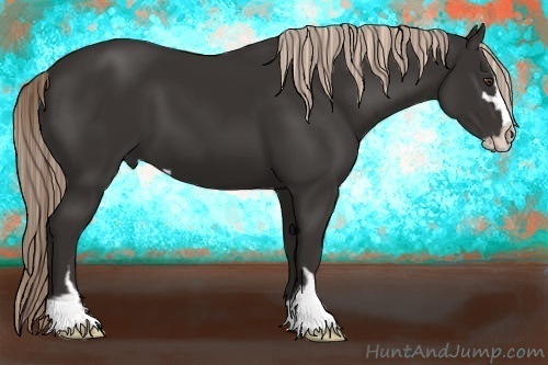 Horse Color:Liver Chestnut Sabino
