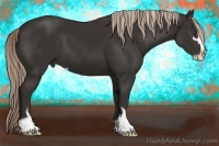 Horse Color:Liver Chestnut Sabino