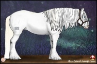 Horse Color:Chestnut Pearl Mushroom Sabino Splash Blanket Rabicano