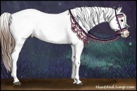 Horse Color:Brown Sabino Varnish Rabicano 