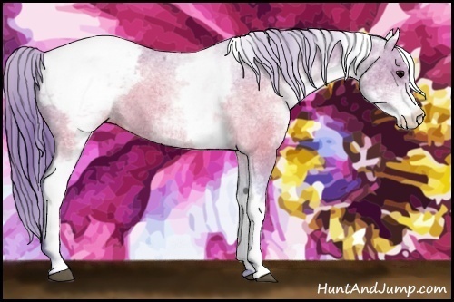 Horse Color:Watercolor White Spotted Brown Varnish