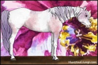Horse Color:Watercolor White Spotted Brown Varnish 