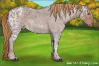 Horse Color:Liver Red Ice Roan Rabicano 