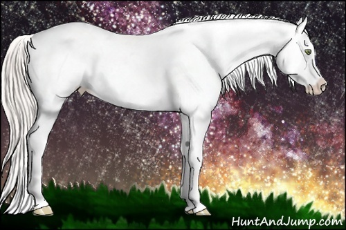 Horse Color:Silver Sable Champagne Appaloosa 