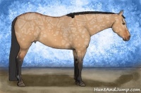 Horse Color:Bay Ice Dun 