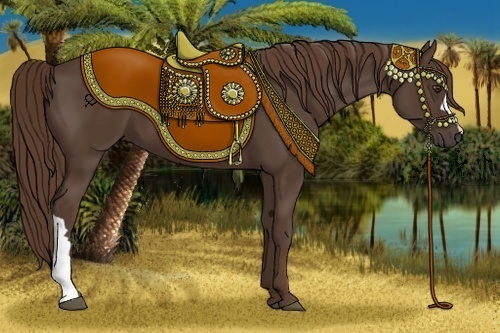 Horse Color:Liver Chestnut 