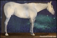 Horse Color:Amber Champagne Dun 