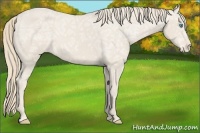 Horse Color:Smoky Creme Ice Appaloosa