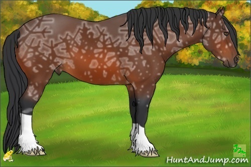 Horse Color:Bay Ice Frame 