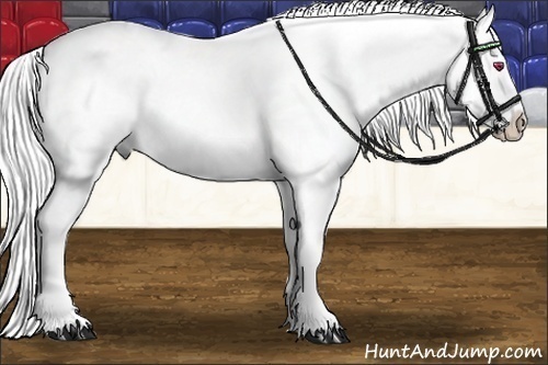 Horse Color:Liver Chestnut Chinchilla Splash 