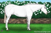 Horse Color:Smoky Black Ice Splash Appaloosa 