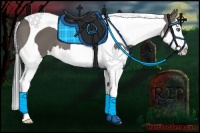 Horse Color:Smoky Grullo Splash Tobiano 
