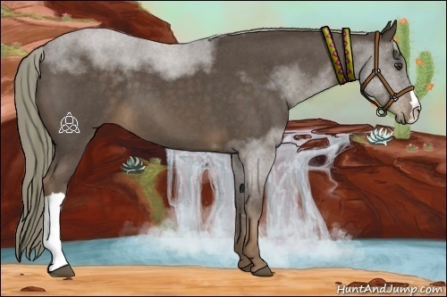 Horse Color:Liver Red Roan 