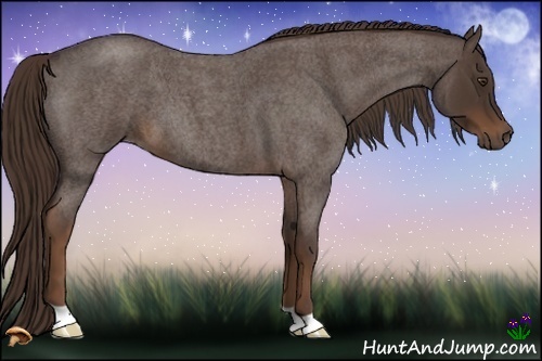 Horse Color:Liver Red Roan 