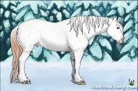 Horse Color:Bay Roan Dun Splash Frame Near Leopard