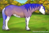 Horse Color:Watercolor Bay Splash