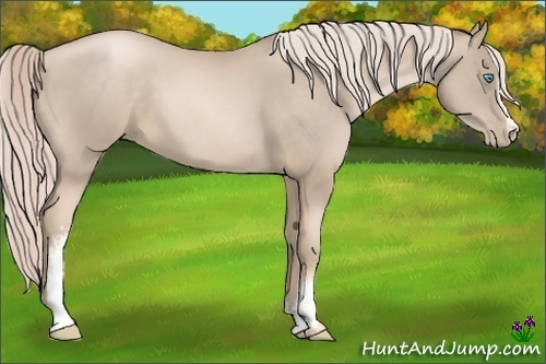 Horse Color:White Spotted Chocolate Palomino Pearl 