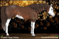 Horse Color:Liver Chestnut Splash 