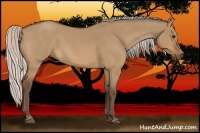 Horse Color:Silver Bay Roan Dun 