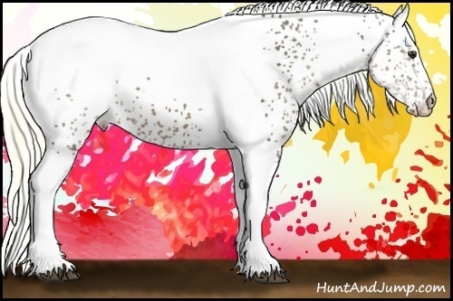 Horse Color:White Spotted Liver Chestnut 