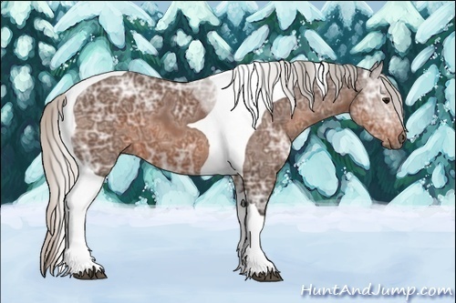 Horse Color:Silver Brown Ice Tobiano