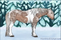 Horse Color:Silver Brown Ice Tobiano