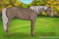 Horse Color:Silver Black