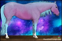 Horse Color:Watercolor Bay Roan 