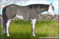 Horse Color:Grullo Splash Rabicano 