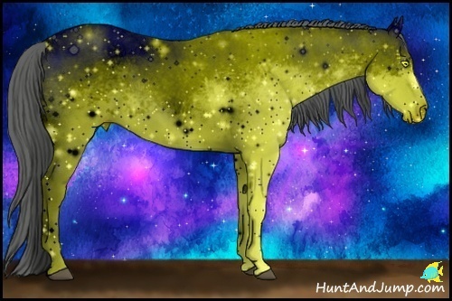 Horse Color:ERROR: UNKNOWN ANOMALY Brindle