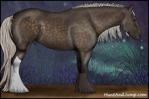 Horse Color:Silver Bay 