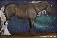 Horse Color:Silver Bay 