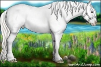 Horse Color:White Spotted Silver Smoky Grullo Blanket