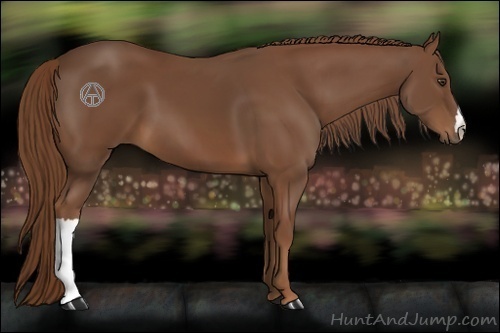 Horse Color:Chestnut and Chestnut
