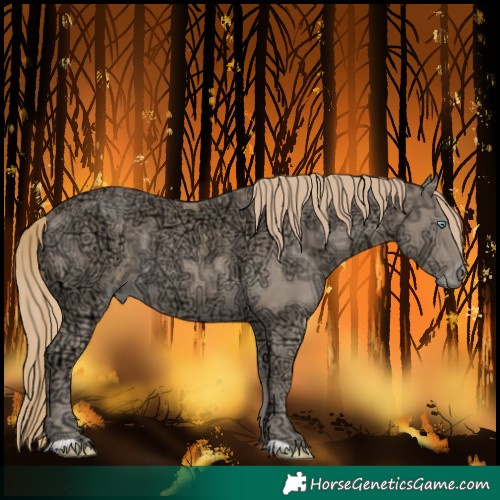 Horse Color:Perlino Ice