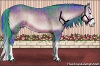 Horse Color:Watercolor Brown Onyx Splash  and Watercolor Brown Onyx Splash 