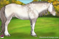 Horse Color:Chocolate Palomino Ice Roan Pearl Onyx