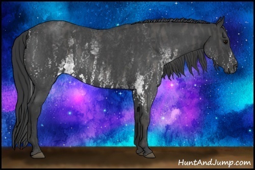 Horse Color:White Spotted Blue Roan Rabicano  Brindle