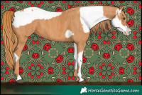 Horse Color:Silver Brown Onyx Appaloosa  Brindle