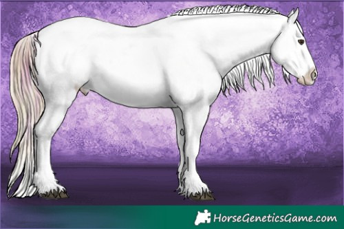 Horse Color:Watercolor Plaid  Red Onyx Ice Appaloosa  and Watercolor Plaid  Red Onyx Ice Appaloosa 