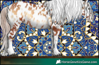 Horse Color:Red Onyx Appaloosa  and Red Onyx Appaloosa 