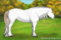 Horse Color:Buckskin Snowflake Varnish  and Buckskin Snowflake Varnish 