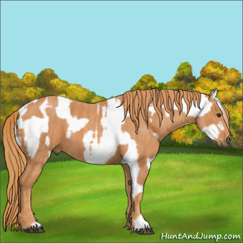 Horse Color:Liver Red Onyx Tobiano Blanket Brindle