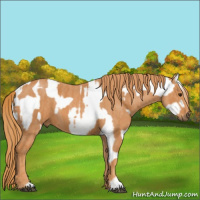 Horse Color:Liver Red Onyx Tobiano Blanket  Brindle