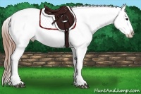 Horse Color:Black Appaloosa  and Black Appaloosa 