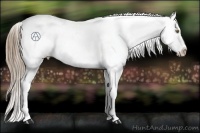 Horse Color:Liver Chestnut Snowflake Varnish and Liver Chestnut Snowflake Varnish