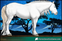 Horse Color:White Spotted Buckskin Roan Pearl Appaloosa and White Spotted Buckskin Roan Pearl Appaloosa
