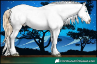 Horse Color:White Spotted Buckskin Roan Pearl Appaloosa and White Spotted Buckskin Roan Pearl Appaloosa